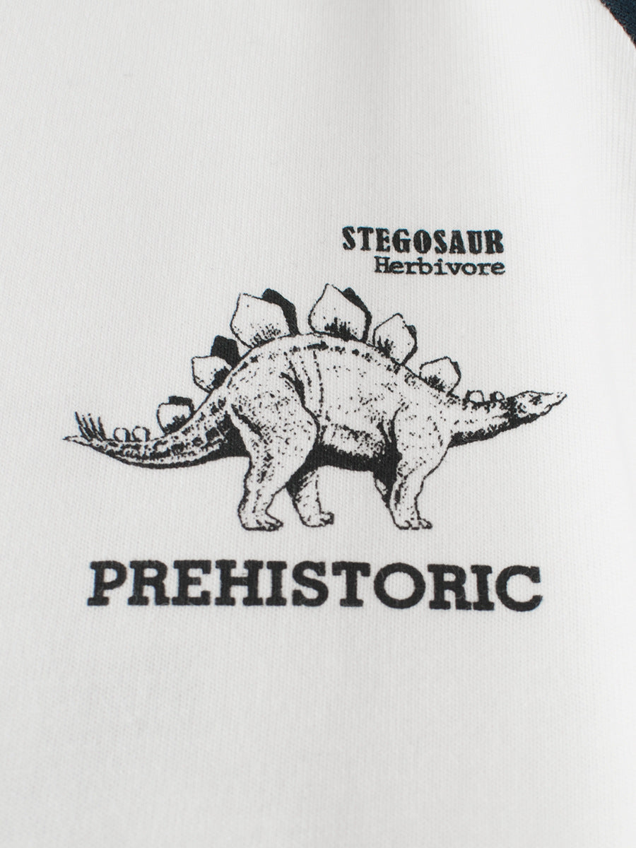 Spring Arrival Kids Dinosaur Logo Crew Neck Long Sleeves Color Patchwork Top, MyKids-USA®, Baby & Toddler Tops, MyKids-USA - - - - - - -