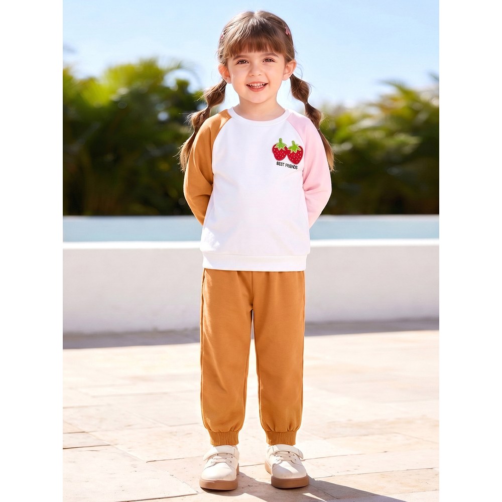 Baby Kids Girls Color Patchwork Long Sleeves Sweatshirt and Plain Pants 2-piece Clothing Set