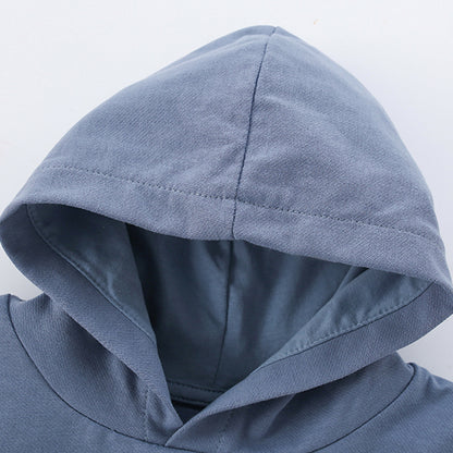 Autumn and Spring Arrival Dinosaur Cartoon Pattern Logo Long Sleeves Hoodies for Boys, MyKids-USA®, Hoodies, MyKids-USA -  -  -  -  -  -  - 