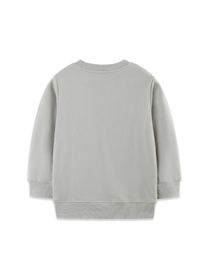 Autumn and Spring Arrival Cartoon Pattern Long Sleeves Pullover for Boys