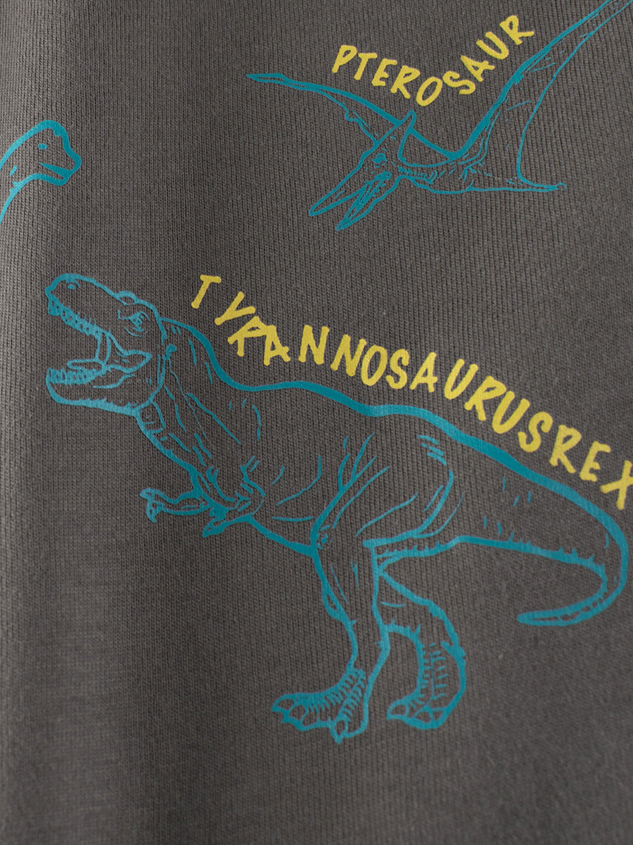 Arrival Kids Dinosaur Cartoon Print Crew Neck Long Sleeves Sweatshirt, MyKids-USA®, Baby & Toddler Outerwear, MyKids-USA -  -  -  -  -  -  - 