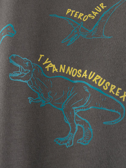 Arrival Kids Dinosaur Cartoon Print Crew Neck Long Sleeves Sweatshirt, MyKids-USA®, Baby & Toddler Outerwear, MyKids-USA -  -  -  -  -  -  - 