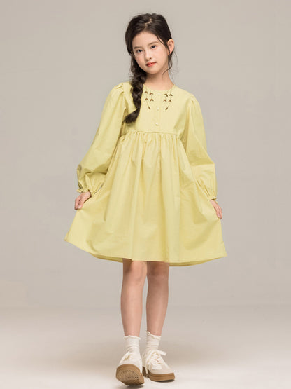 Autumn Arrival Long Sleeves Embroidered Pattern Dress for Stylish Girls