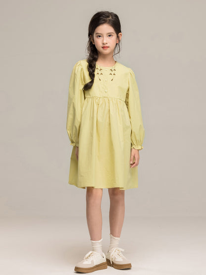 Autumn Arrival Long Sleeves Embroidered Pattern Dress for Stylish Girls
