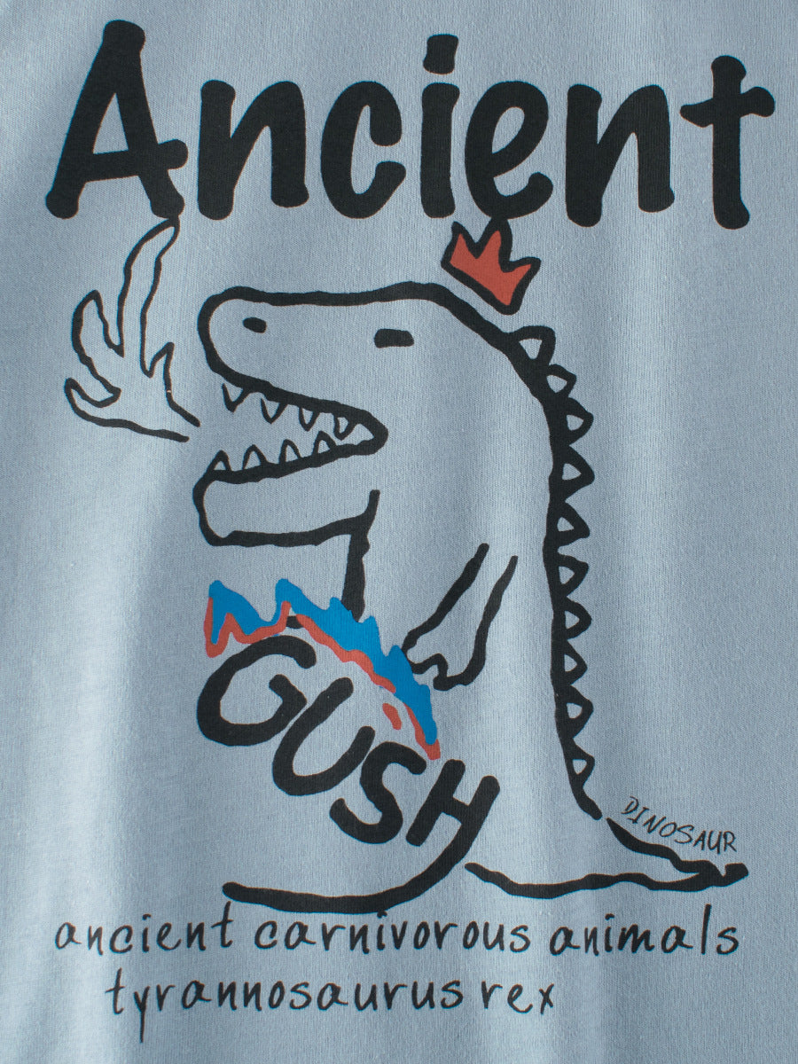 Arrival Kids Dinosaur Cartoon Print Crew Neck Long Sleeves Color Patchwork Sweatshirt, MyKids-USA®, Baby & Toddler Outerwear, MyKids-USA -  -  -  -  -  -  - 