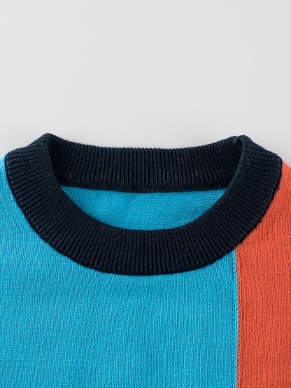 Baby Boy Color Patchwork Crew Neck Long Sleeve Knitwear Pullover