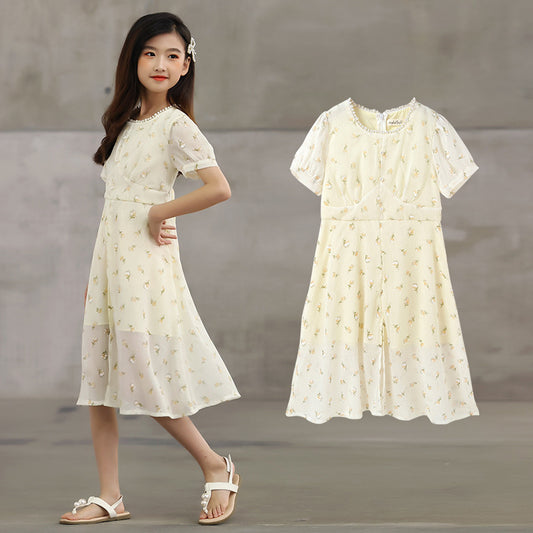New Arrival Summer Kids Girls French Style Chiffon Fashion Short Sleeves Floral Dress