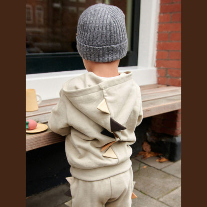 MyKids-USA® High Quality Boys Dinosaur Design Long Sleeves Top Zip-Up Hoodie And Pants Clothing Set