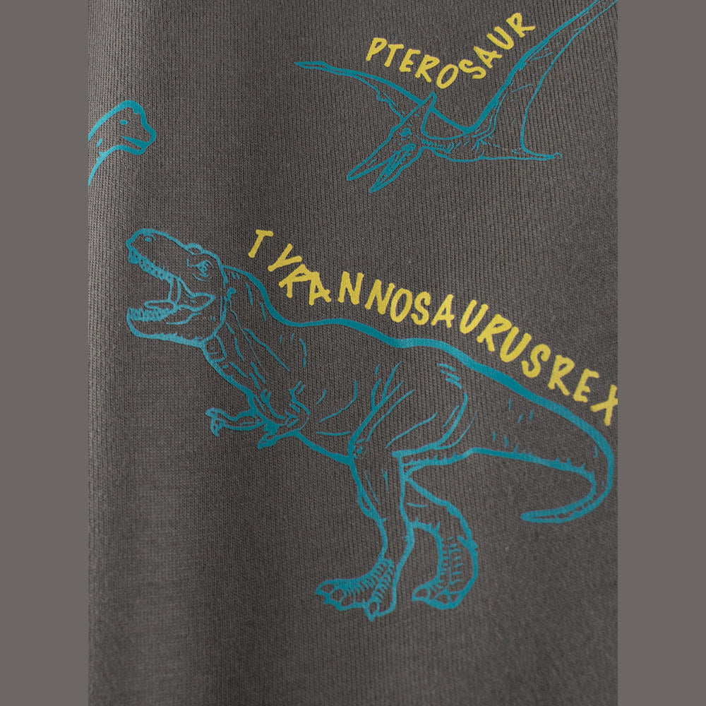 MyKids-USA® Kids Dinosaur Cartoon Print Crew Neck Long Sleeves Sweatshirt