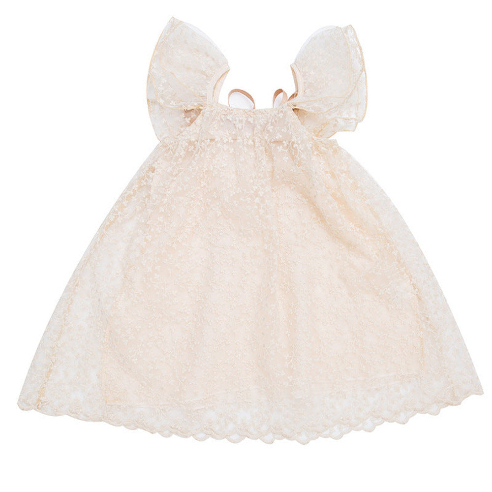 MyKids-USA® Baby Kids Girls Fly Sleeves Lace Embroidery Design Princess Floral Tulle Dress