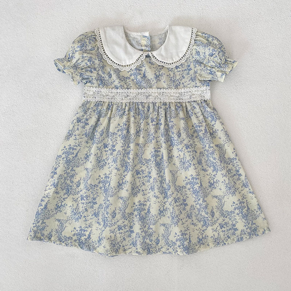 MyKids-USA® Girls Flowers Pattern Lace Trim Collar Onesies and Dress – Princess Sister Matching Set