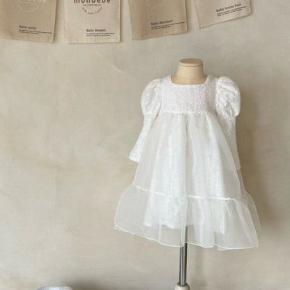 MyKids-USA® Baby Girls Long Sleeves Lace Tulle Dress