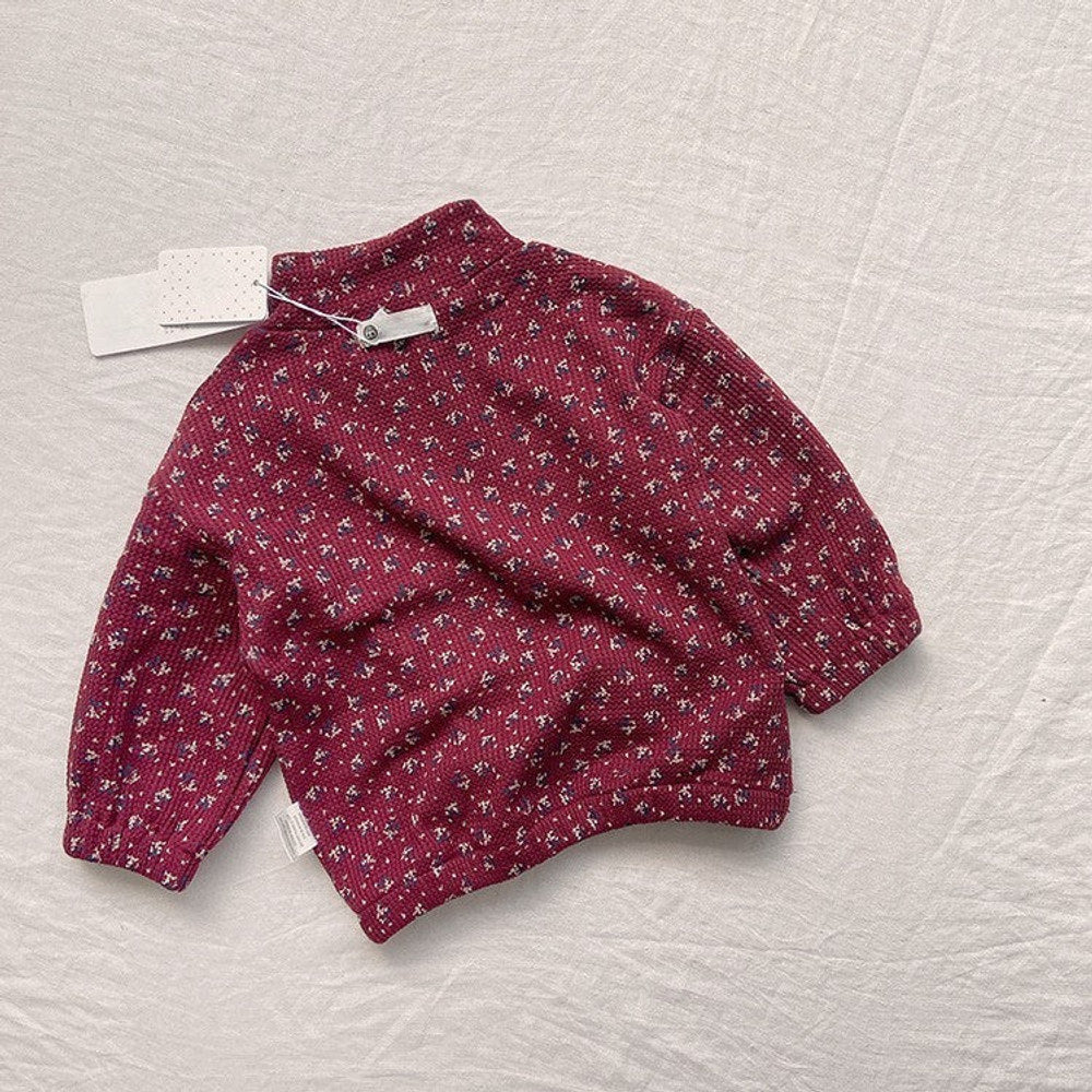 MyKids-USA® Autumn Baby Unisex Long Sleeves Floral Zip-up Pullover and Pants Clothing Set