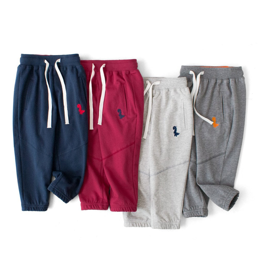 Baby Dinosaur Embroidered Graphic Solid Color Loose Sport Style Pants