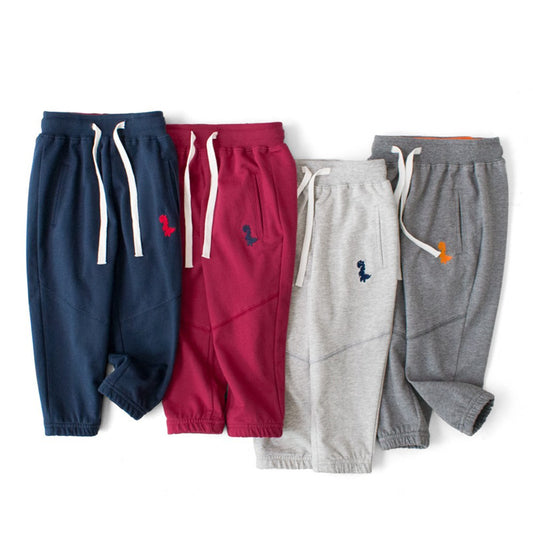 Baby Dinosaur Embroidered Graphic Solid Color Loose Sport Style Pants