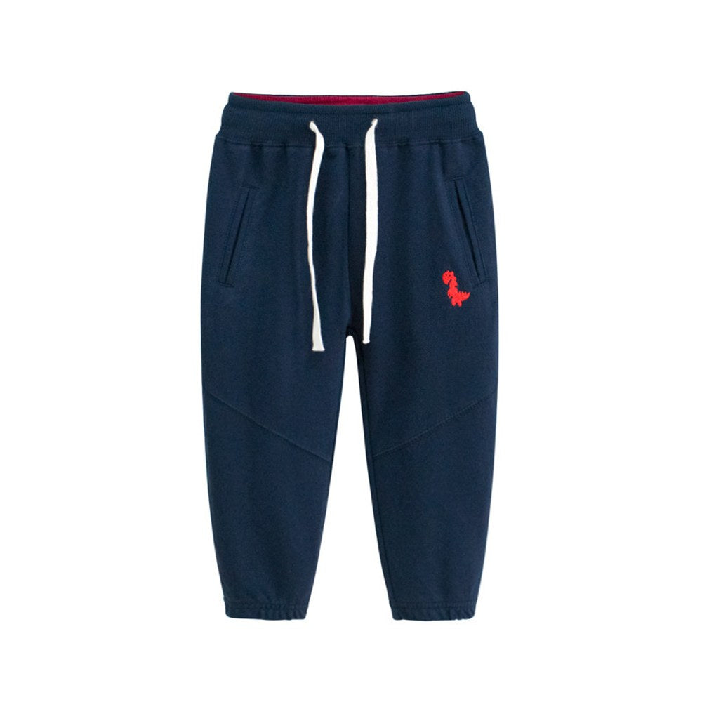 Baby Dinosaur Embroidered Graphic Solid Color Loose Sport Style Pants
