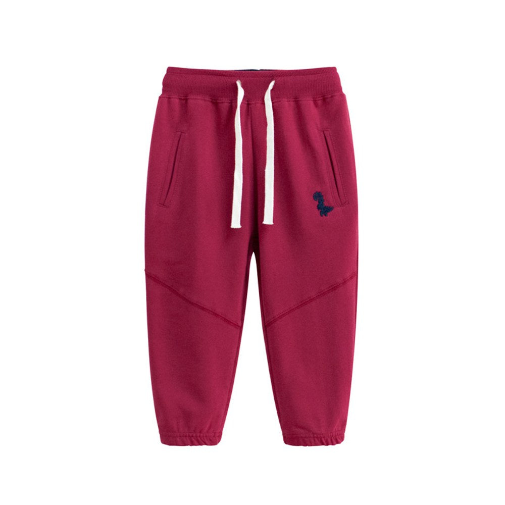 Baby Dinosaur Embroidered Graphic Solid Color Loose Sport Style Pants