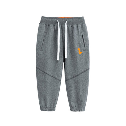 Baby Dinosaur Embroidered Graphic Solid Color Loose Sport Style Pants