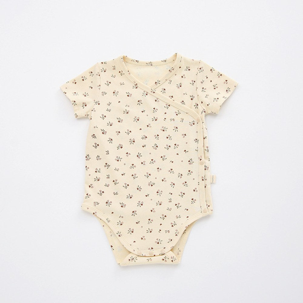 Baby Unisex V Neck Short Sleeves Fruits Pattern Bodysuit Bodysuits