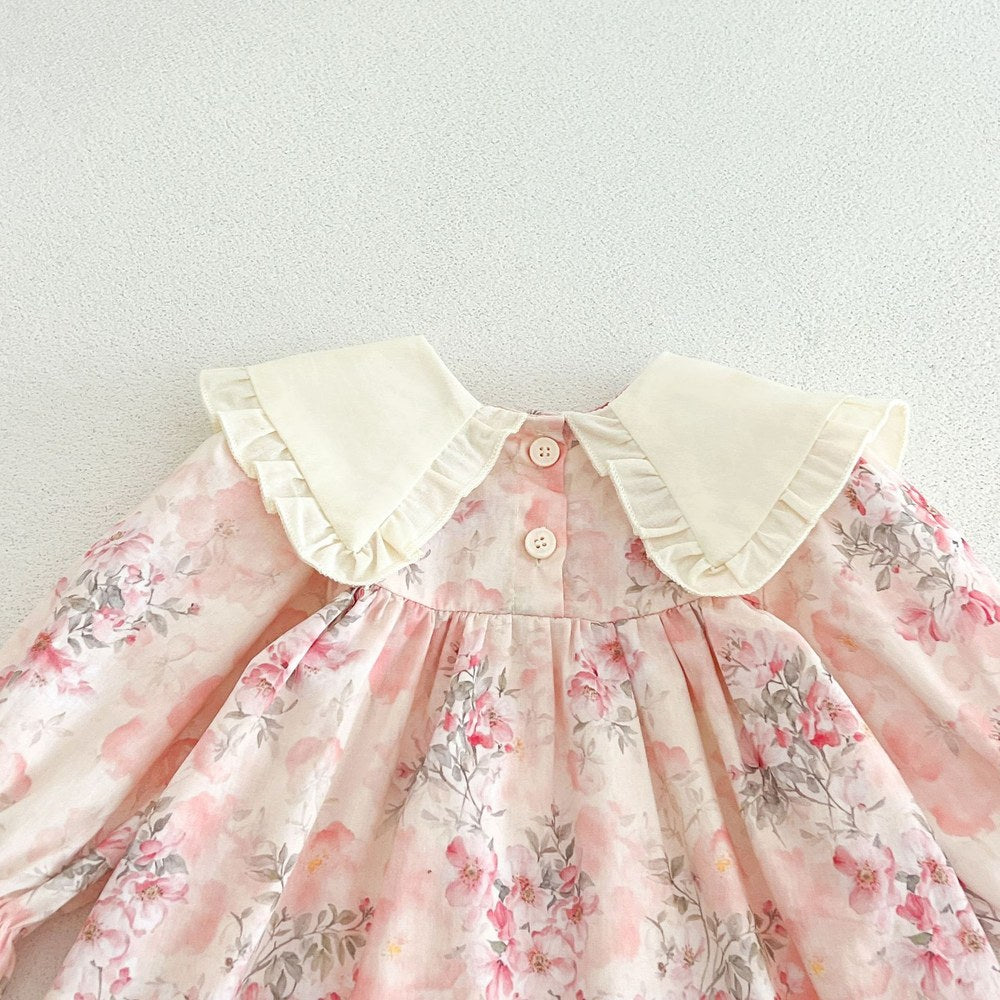 Baby Girls Long Sleeves Flowers Pattern Dress