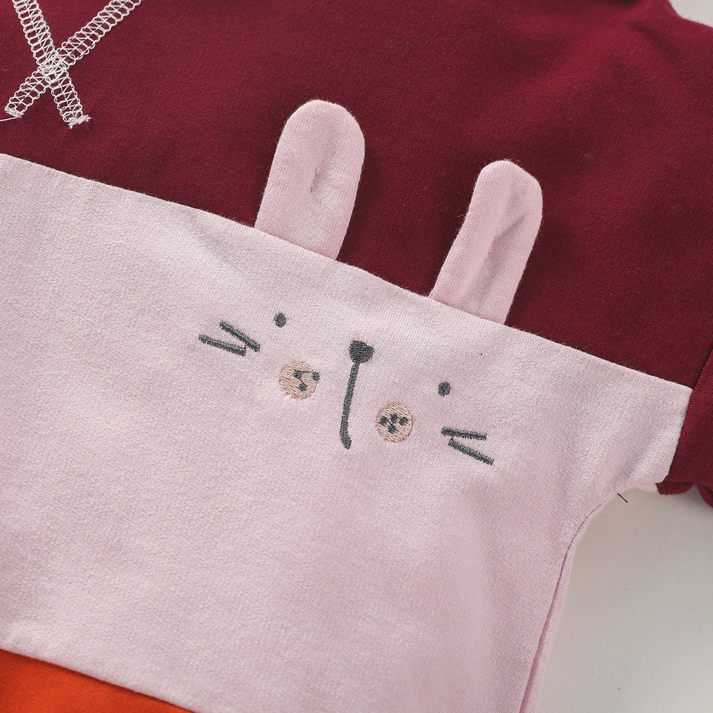 Baby Girl Rabbit Embroidered Graphic Colorblock Design Hoodie With Pant Sets My Kids-USA