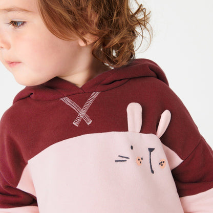 Baby Girl Rabbit Embroidered Graphic Colorblock Design Hoodie With Pant Sets My Kids-USA