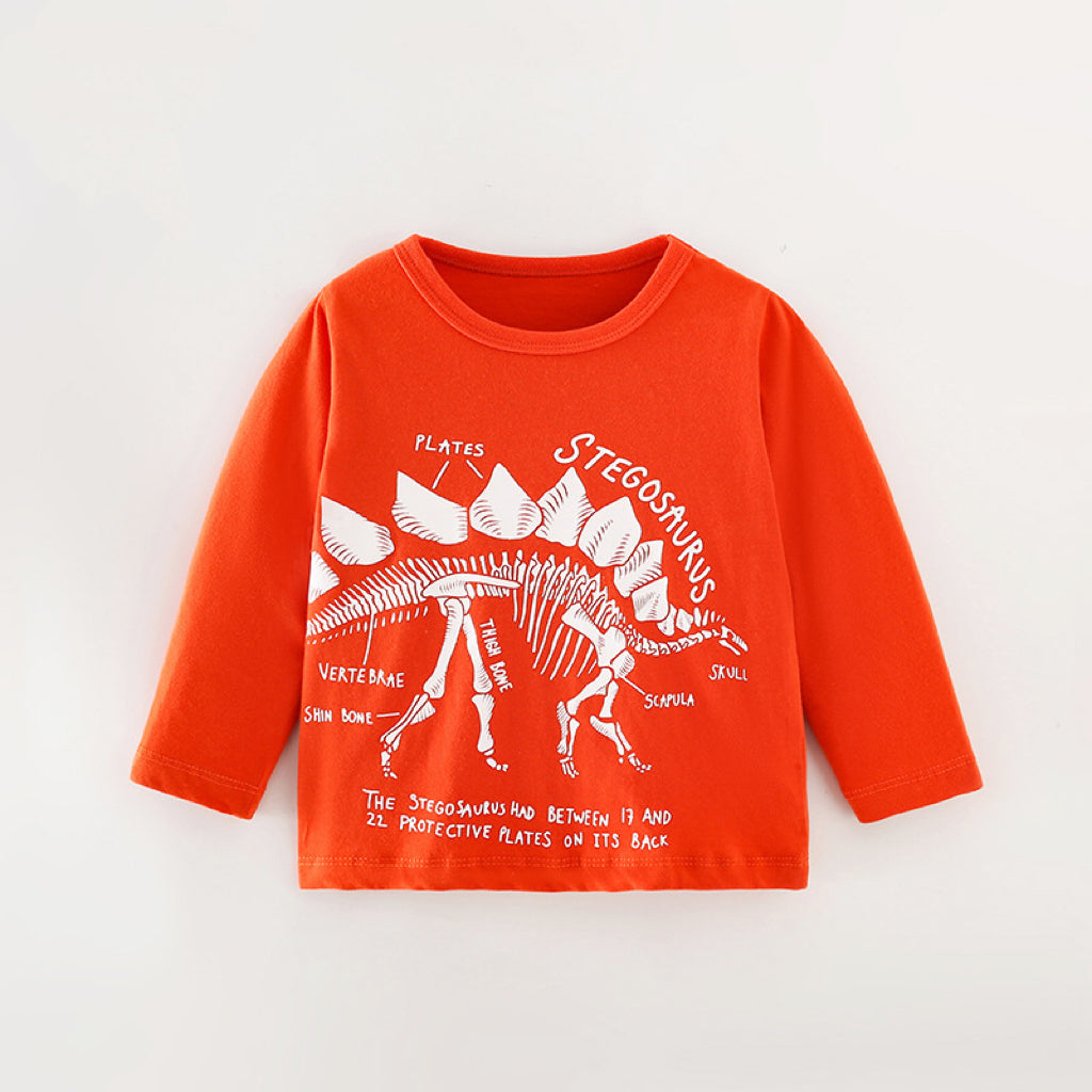 Baby Boy Cartoon Dinosaur Pattern Long Sleeve Cool Shirt